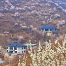北京旅游 缩略图 6