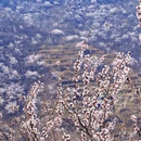 北京旅游 缩略图 4