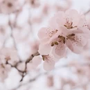 北京旅游 缩略图 5