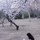 北京旅游 缩略图 1