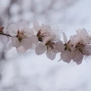 北京旅游 缩略图 14