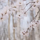 北京旅游 缩略图 12