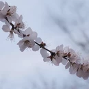北京旅游 缩略图 15