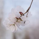 北京旅游 缩略图 11