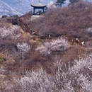 北京旅游 缩略图 5