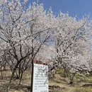 北京旅游 缩略图 4
