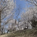 北京旅游 缩略图 2