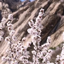 北京旅游 缩略图 4