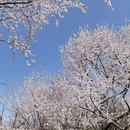 北京旅游 缩略图 1