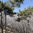 北京旅游 缩略图 8