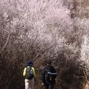 北京旅游 缩略图 5