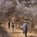 北京旅游 缩略图 6