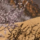 北京旅游 缩略图 11