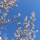北京旅游 缩略图 10