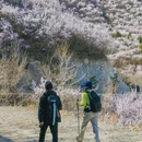 北京旅游 缩略图 8