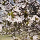 北京旅游 缩略图 7