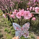北京旅游 缩略图 8