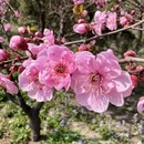 北京旅游 缩略图 10