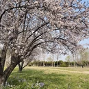 北京旅游 缩略图 2