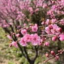 北京旅游 缩略图 9