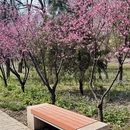 北京旅游 缩略图 3