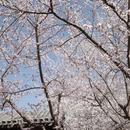 北京旅游 缩略图 4