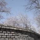北京旅游 缩略图 1