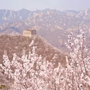 北京旅游 缩略图 4