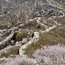 北京旅游 缩略图 4
