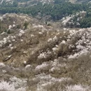 北京旅游 缩略图 2