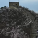 北京旅游 缩略图 6