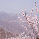 北京旅游 缩略图 8