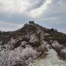 北京旅游 缩略图 7