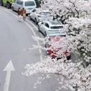 上海旅游 缩略图 10