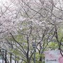 上海旅游 缩略图 13