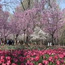 青岛旅游 缩略图 1