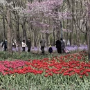 青岛旅游 缩略图 2