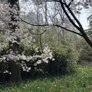 青岛旅游 缩略图 15