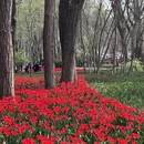 青岛旅游 缩略图 13