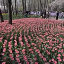 青岛旅游 缩略图 14