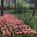 青岛旅游 缩略图 10