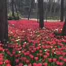 青岛旅游 缩略图 11