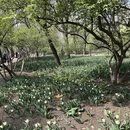 青岛旅游 缩略图 16
