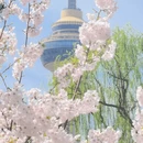 北京旅游 缩略图 1