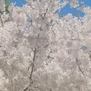 北京旅游 缩略图 6