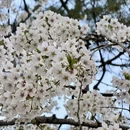 北京旅游 缩略图 3
