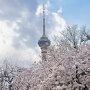 北京旅游 缩略图 1