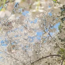 北京旅游 缩略图 3