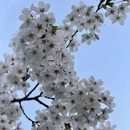 北京旅游 缩略图 4