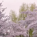北京旅游 缩略图 7